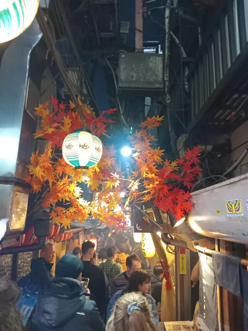 Tokyo side street with lanterns