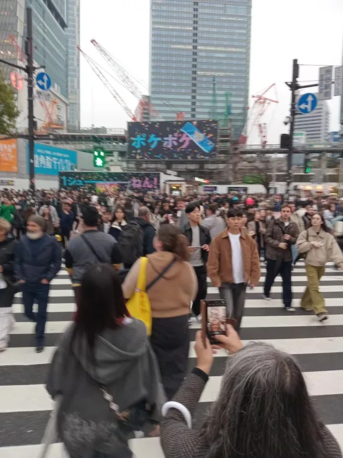Shibuya Crossing